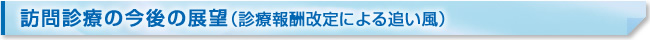 訪問診療の今後の展望（診療報酬改定による追い風）